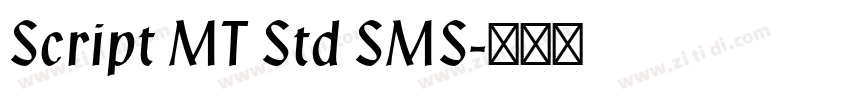 Script MT Std SMS字体转换